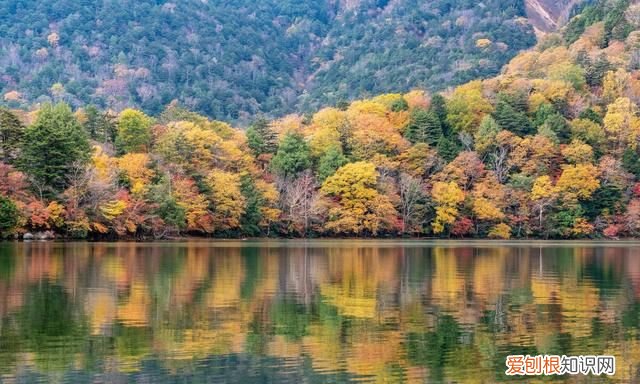 秋燥上火吃什么食物最好