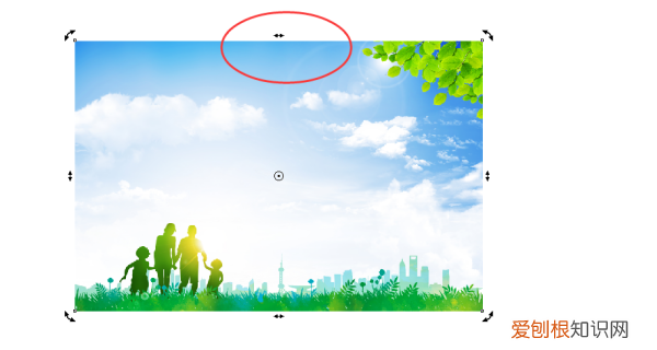 cdr倒影怎么做,cdr做图片的投影