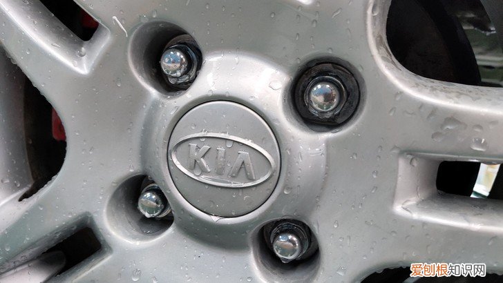 赛拉图座套全包布艺需要多少钱