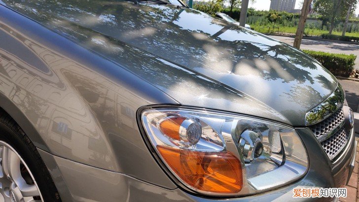 赛拉图座套全包布艺需要多少钱