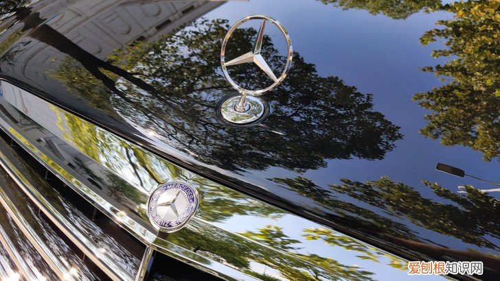 赛拉图座套全包布艺需要多少钱