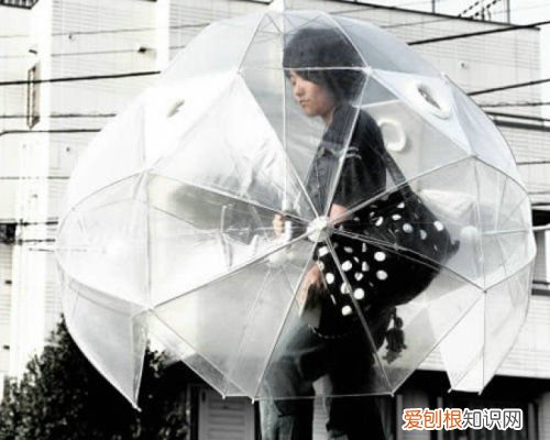 情侣雨伞一般买多大