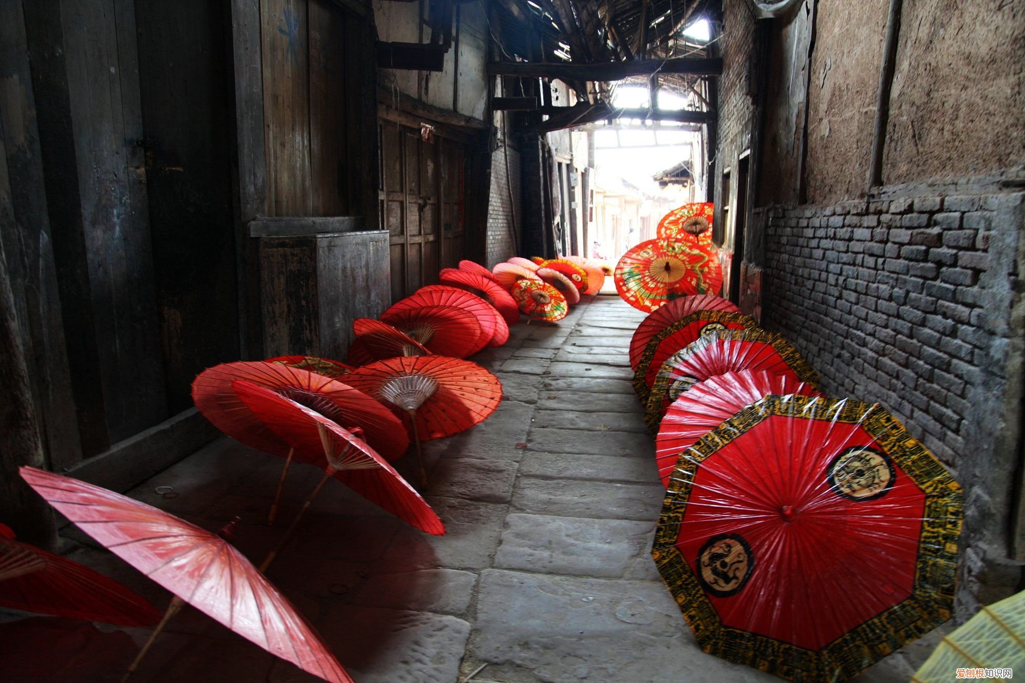 情侣雨伞一般买多大