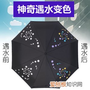情侣雨伞一般买多大