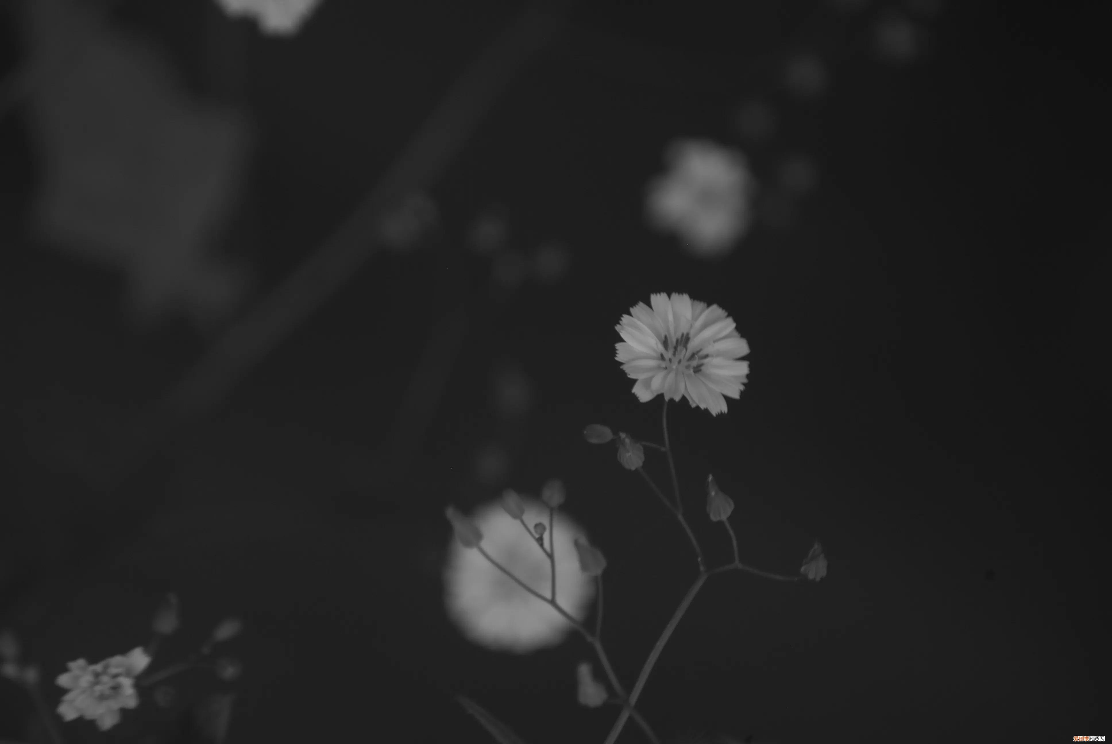 三星nx1000值得买吗和nx2000哪个更好