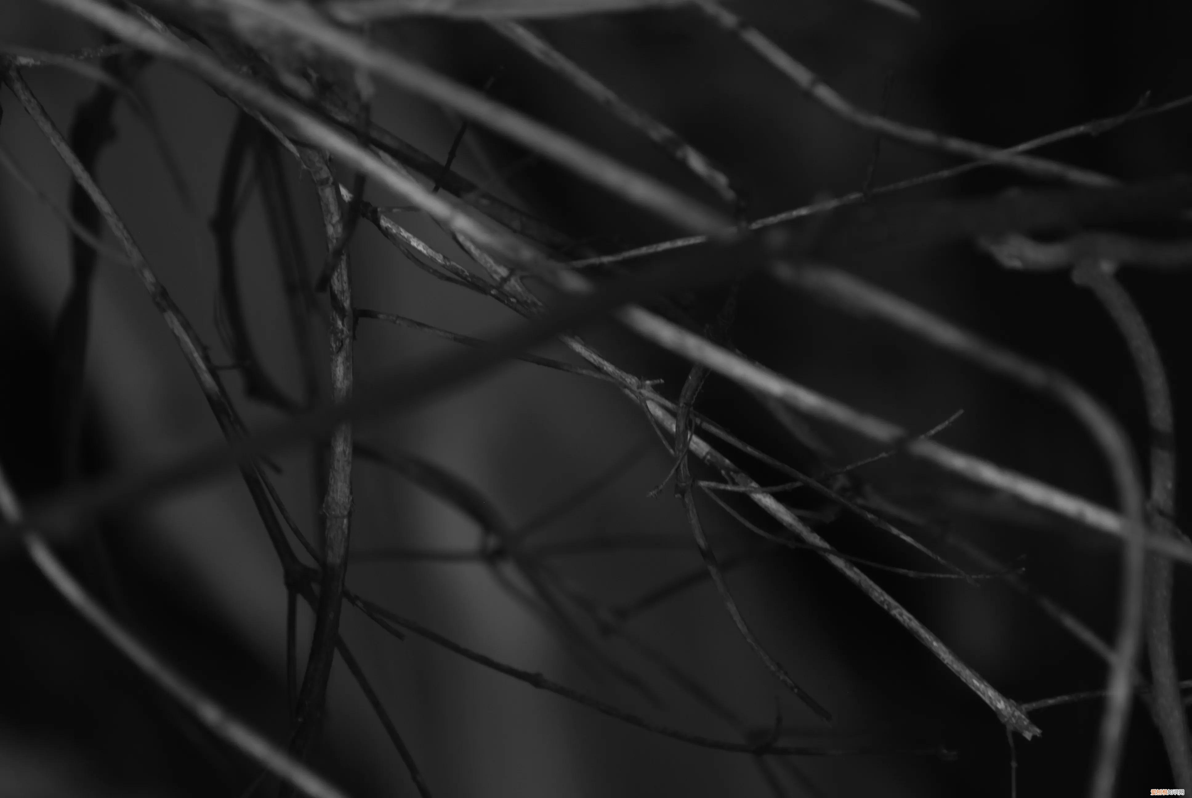 三星nx1000值得买吗和nx2000哪个更好