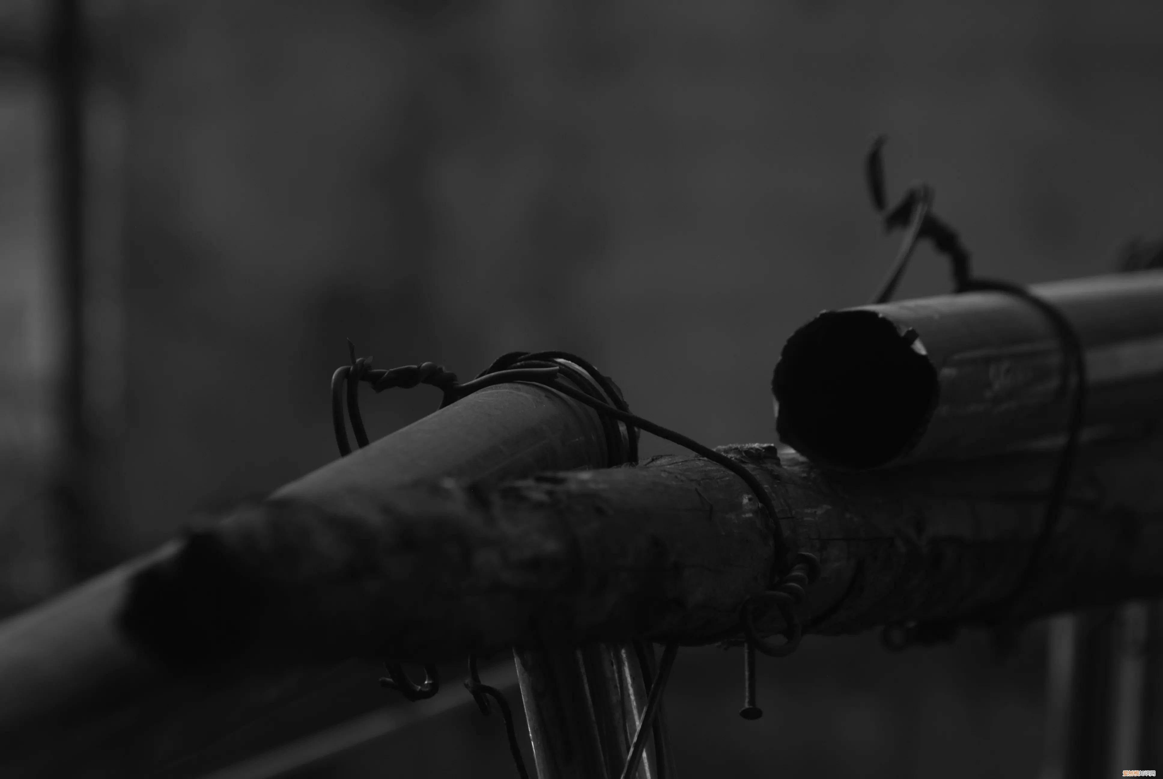 三星nx1000值得买吗和nx2000哪个更好