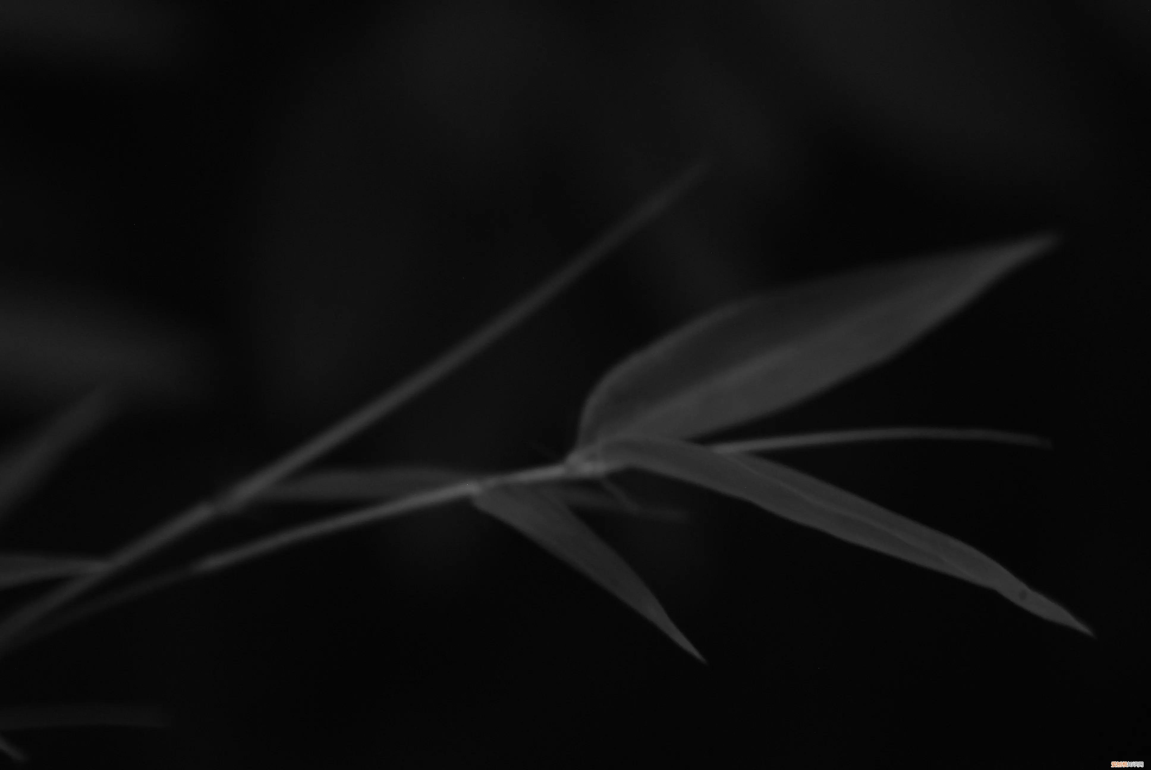 三星nx1000值得买吗和nx2000哪个更好