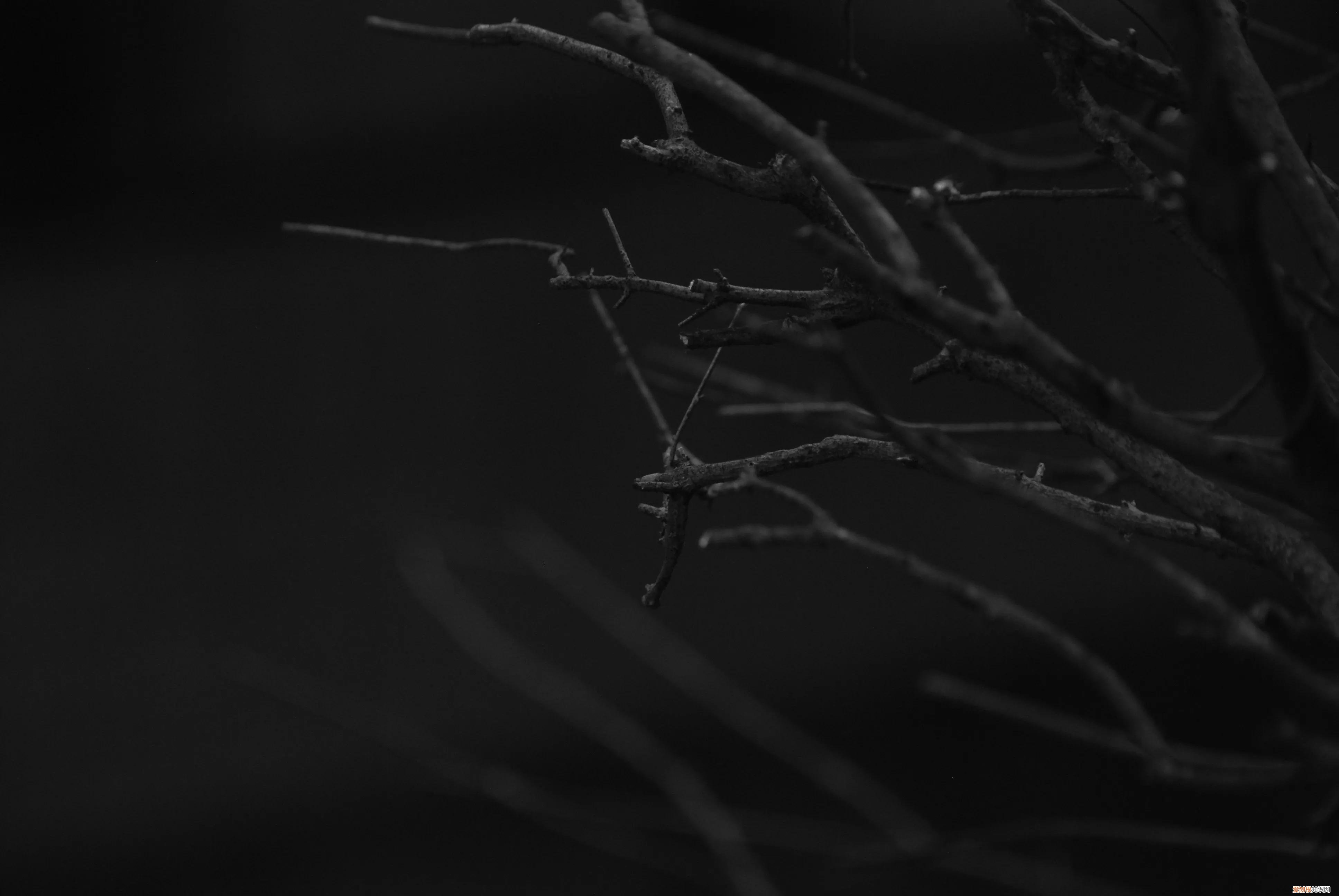 三星nx1000值得买吗和nx2000哪个更好