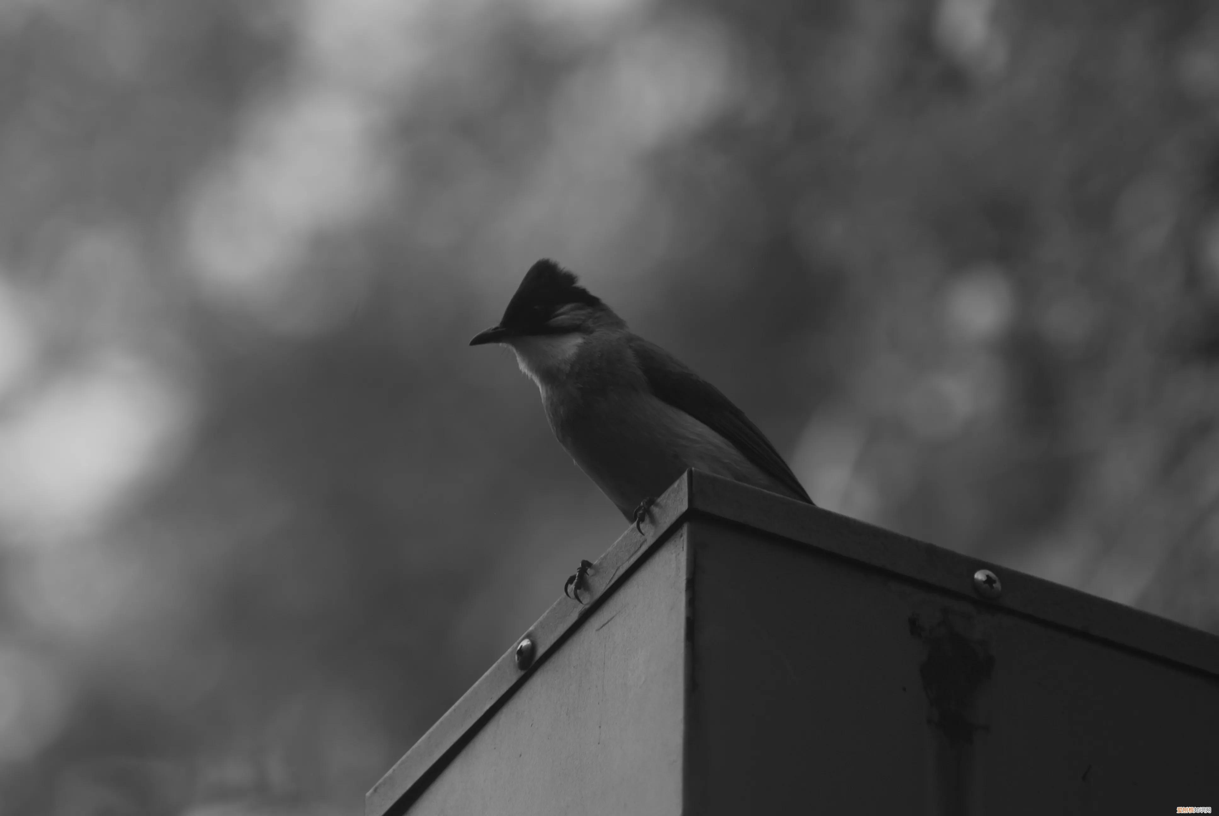 三星nx1000值得买吗和nx2000哪个更好