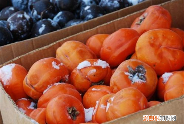 柿子能放冰箱冷冻再吃,柿子能放冰箱冷藏保存吗