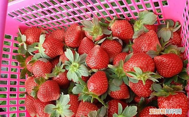 经常过敏怎么办 五个方法让你远离过敏体质的人