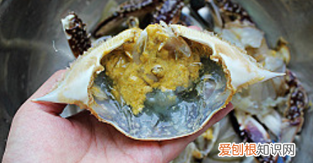 川式麻辣蟹的做法，麻辣螃蟹的家常做法窍门