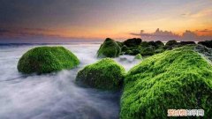 全国各地的最佳旅游时间