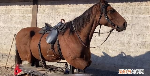 横店群演男生真实生活一天多少钱 在横店做群演的艰辛