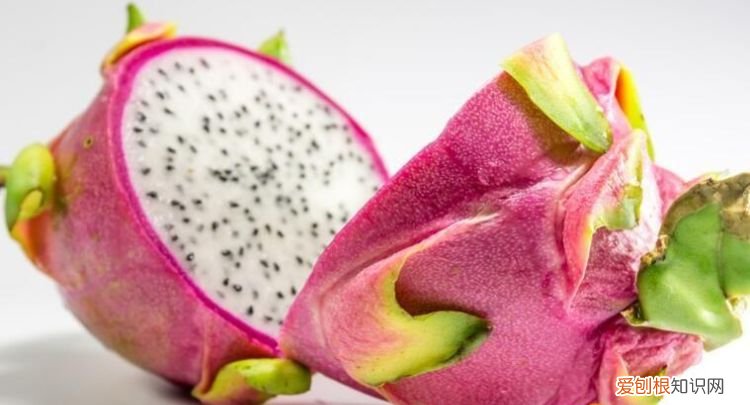 16个月的孩子可以吃柿子,吃火龙果多久可以吃柿子