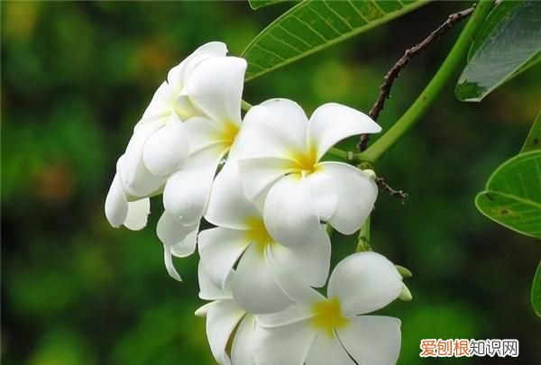 很累很励志短句子