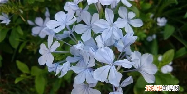 很累很励志短句子