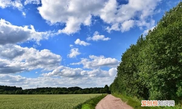 很累很励志短句子