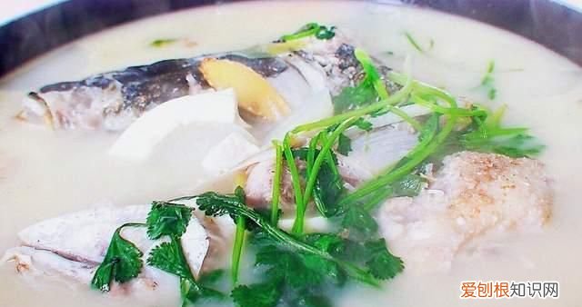 鱼头豆腐汤没有姜怎么办,鱼头豆腐汤的鱼腥味怎样才能完全去腥