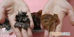 直接用开水泡木耳好，开水和冷水泡木耳的区别