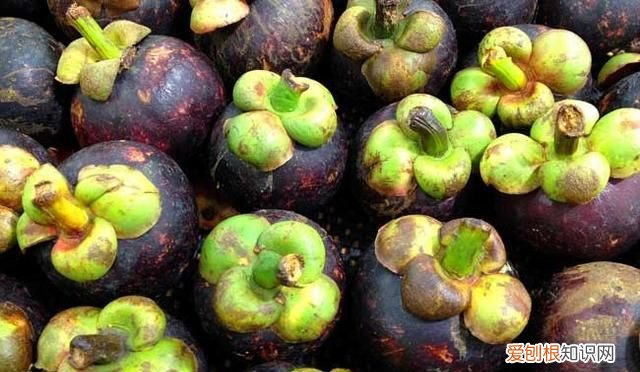 山竹里面的软核能吃吗,山竹的核能咽下去吗