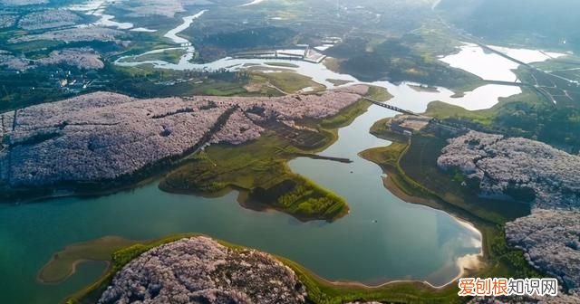 坐火车去贵阳的沿途风景