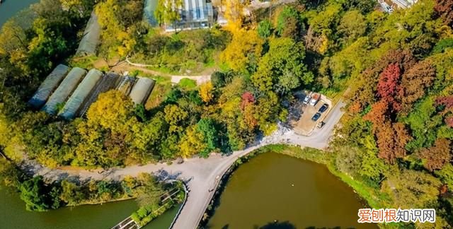 坐火车去贵阳的沿途风景