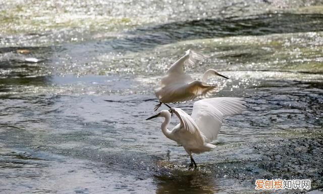 坐火车去贵阳的沿途风景