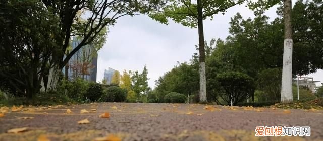 坐火车去贵阳的沿途风景