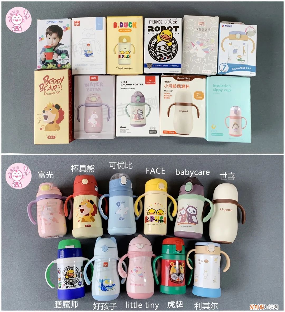 学饮杯什么牌子的最好最安全？11款常见款真实评测