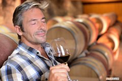 拉菲传说波尔多干红葡萄酒怎么样？感觉很贵？