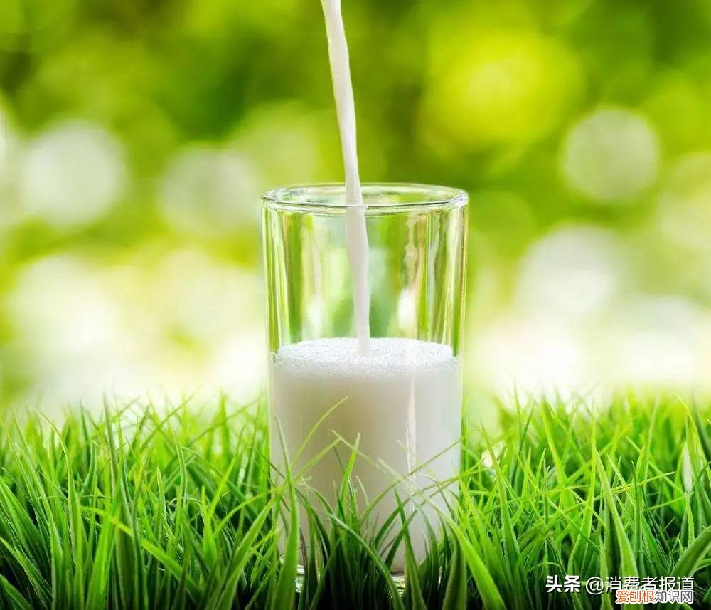 安怡中老年奶粉怎么样？9款中老年奶粉对比