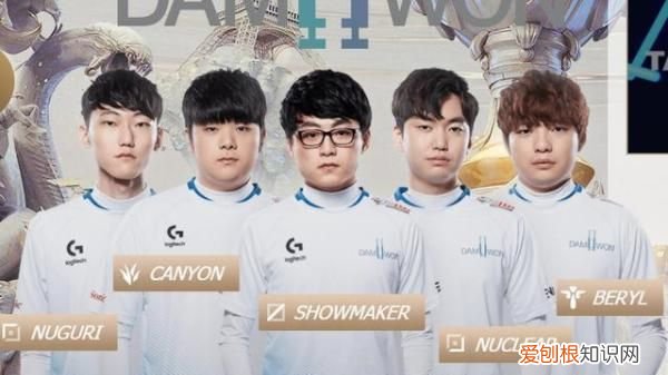 dwg是哪个国家的战队