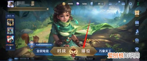 王者荣耀性别显示的方法,王者荣耀怎么没有性别显示了