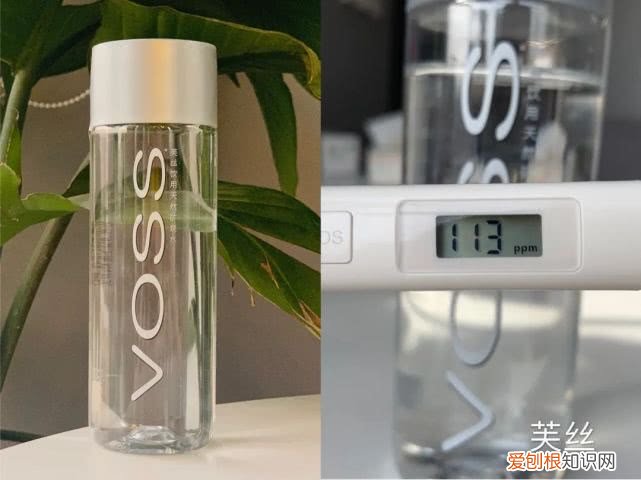 斐济矿泉水为什么这么贵？评测6款网红矿泉水