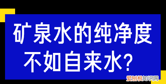 斐济矿泉水为什么这么贵？评测6款网红矿泉水