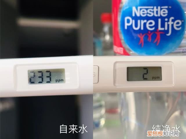 斐济矿泉水为什么这么贵？评测6款网红矿泉水