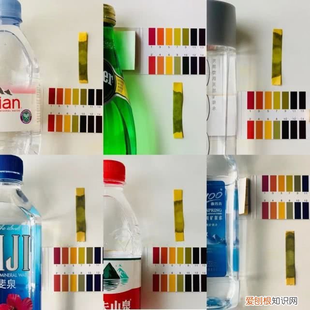 斐济矿泉水为什么这么贵？评测6款网红矿泉水