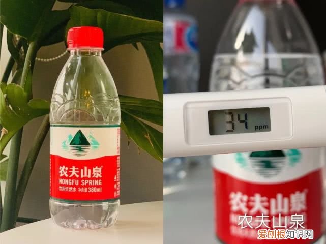 斐济矿泉水为什么这么贵？评测6款网红矿泉水