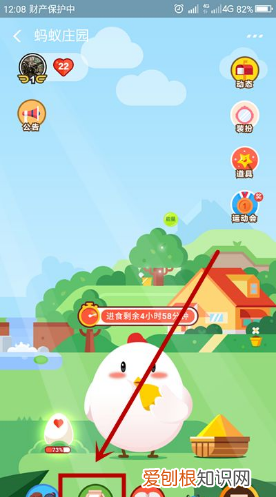 蚂蚁庄园咋地才能领饲料，支付宝蚂蚁庄园雇佣小鸡吃饲料算谁的