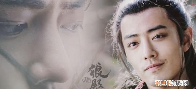 狼殿下原著小说