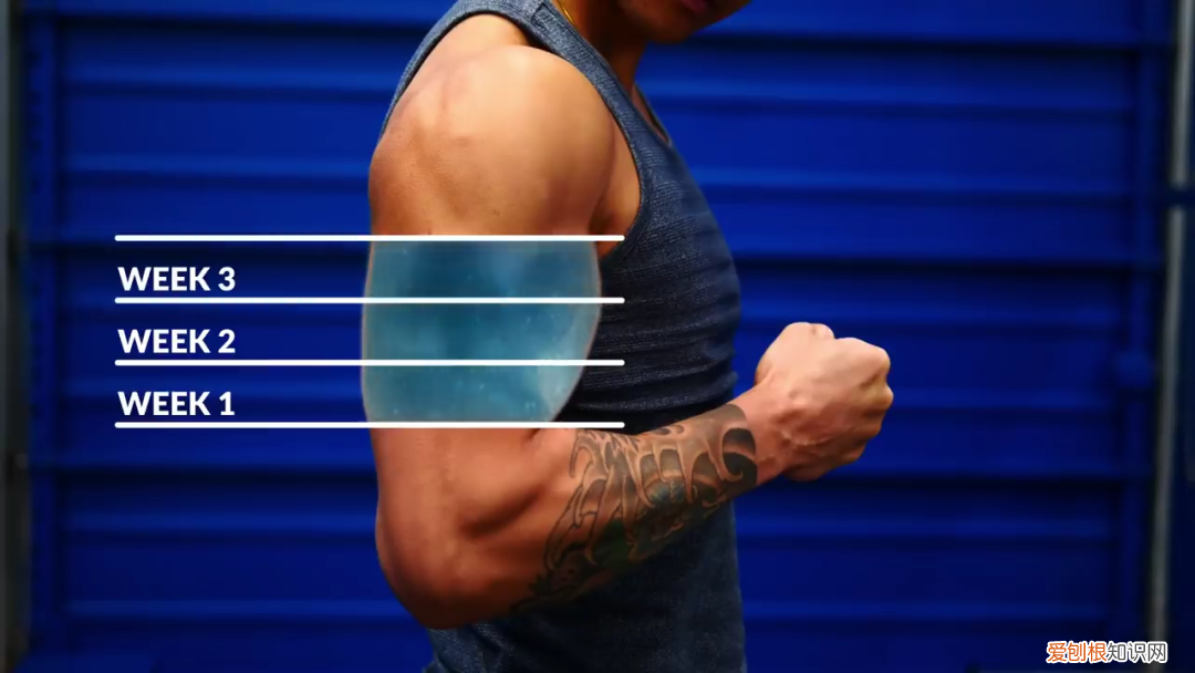 肌酸价格为什么差那么多？