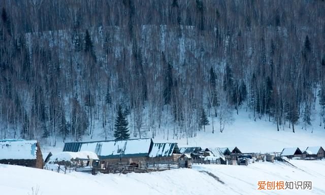 10首唯美冬日小诗,短到极致,美到极致的诗句