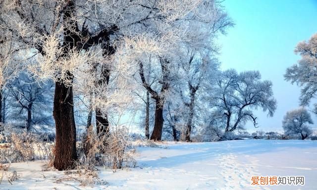 10首唯美冬日小诗,短到极致,美到极致的诗句