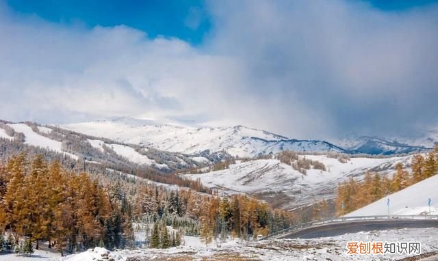 10首唯美冬日小诗,短到极致,美到极致的诗句