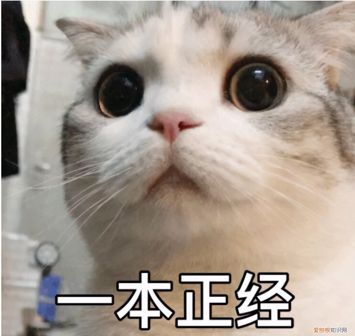 洁面仪好用吗？有人说是智商税？真相确实如此