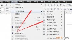 cdr文件要居中对齐要咋进行操作