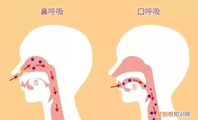 塌鼻子鼻孔大怎么做好看