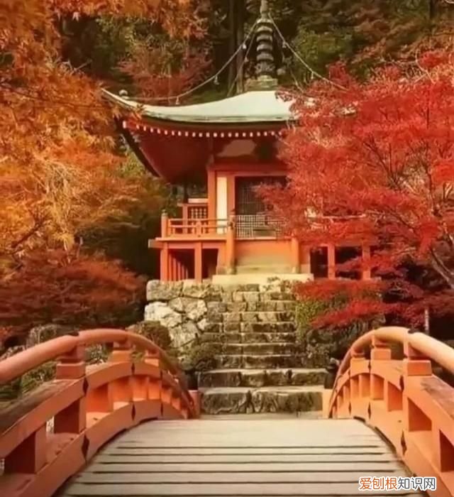 距离太阳最近的四颗行星,距离太阳最近四颗行星